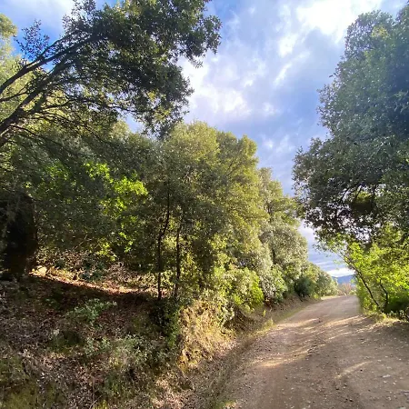 Tipica Sa Corte Herberg