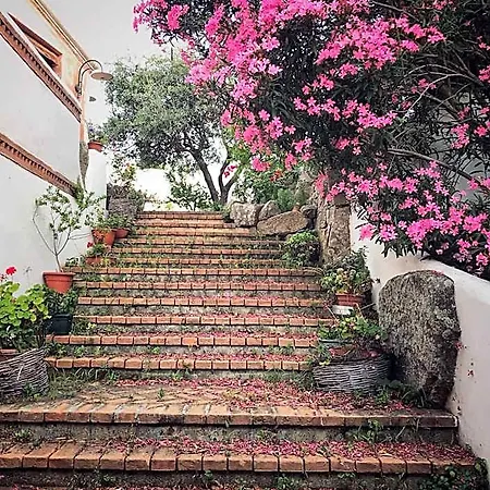 Tipica Sa Corte Inn