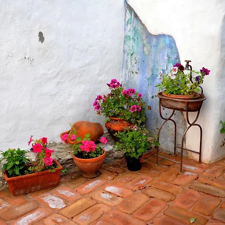 Tipica Sa Corte Värdshus *